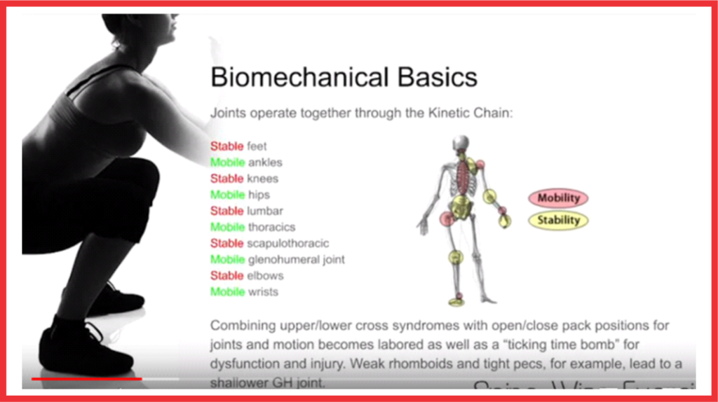 Types of stretches – Human Kinetics