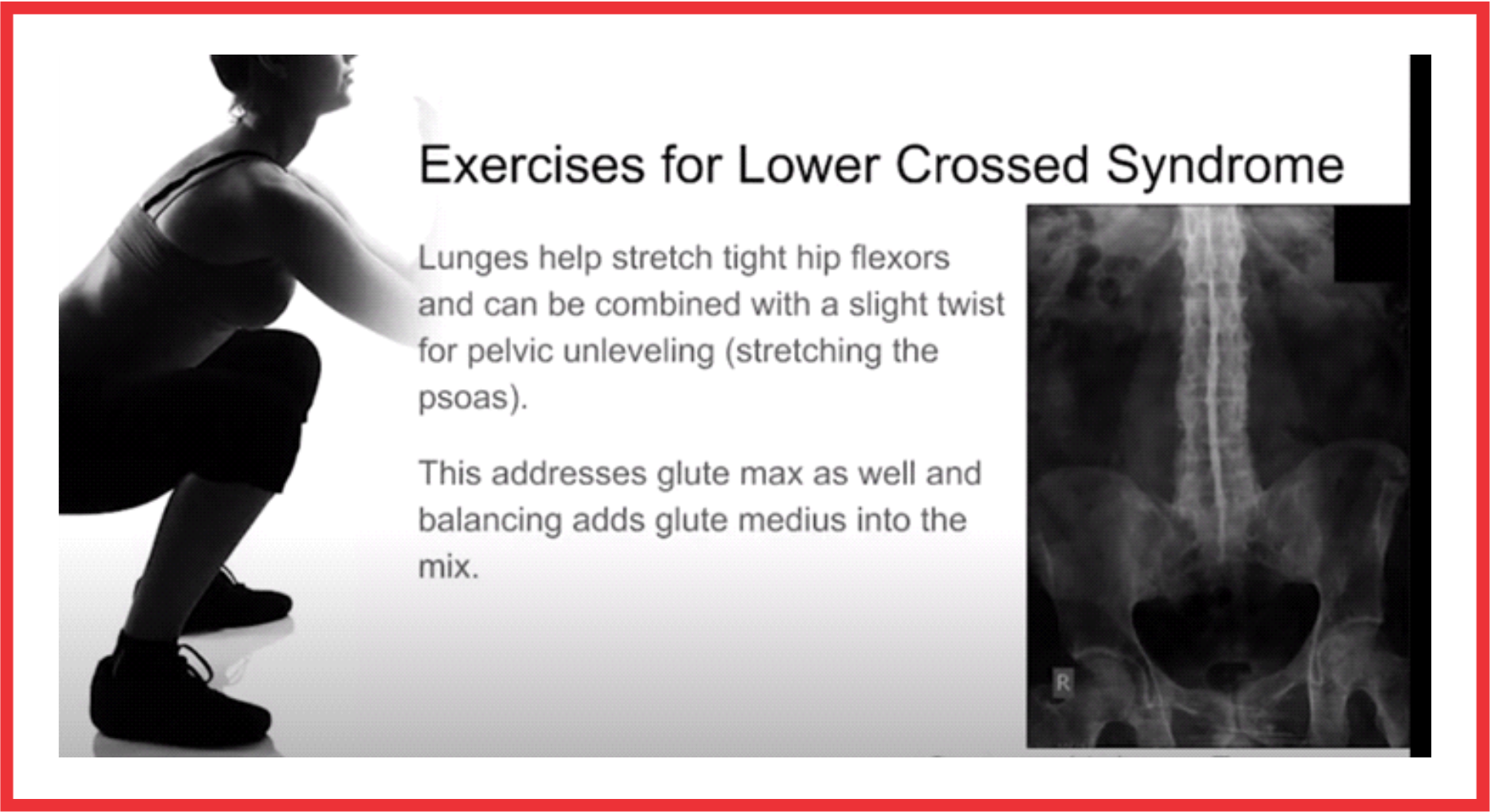 Exercises For Lower Cross Syndrome 1 Liberation